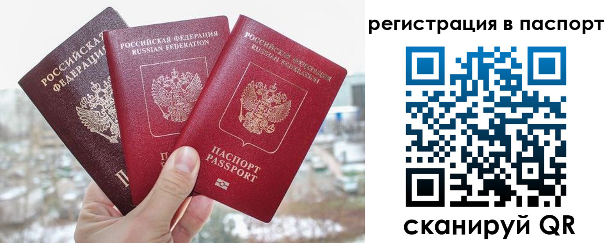 регистрация для школы в Александрове